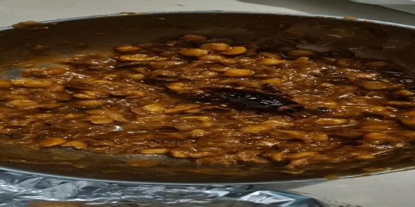 दाल तड़का में निकला कॉकरोच! हाजीपुर के साहू होटल का लाइसेंस सस्पेंड