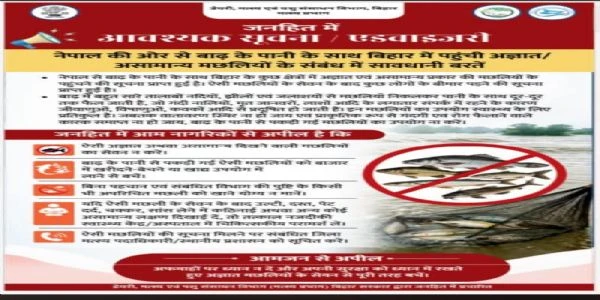 बिहार में बाढ़ के पानी के साथ आई अज्ञात मछलियां, खाने से लोग बीमार