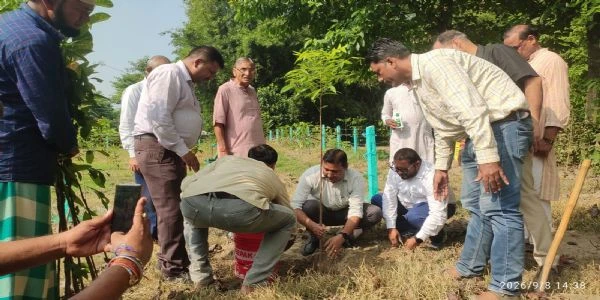 सुखानगर पंचायत में उप विकास आयुक्त ने किया पौधरोपण, पर्यावरण संरक्षण का दिया संदेश