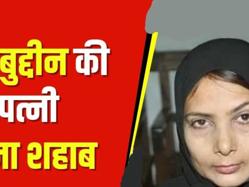 AIMIM Supports Hina Sahab for Lok Sabha Elections in Patna, Bihar.