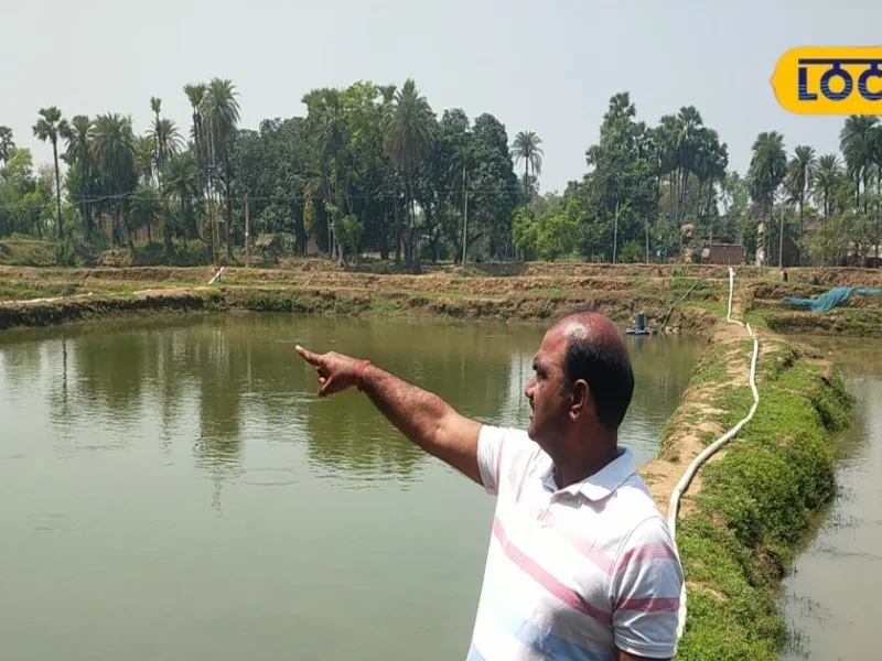 Banka: Government schemes boost farmers’ income through fish farming in Amarpur, Kol Bujurg village.