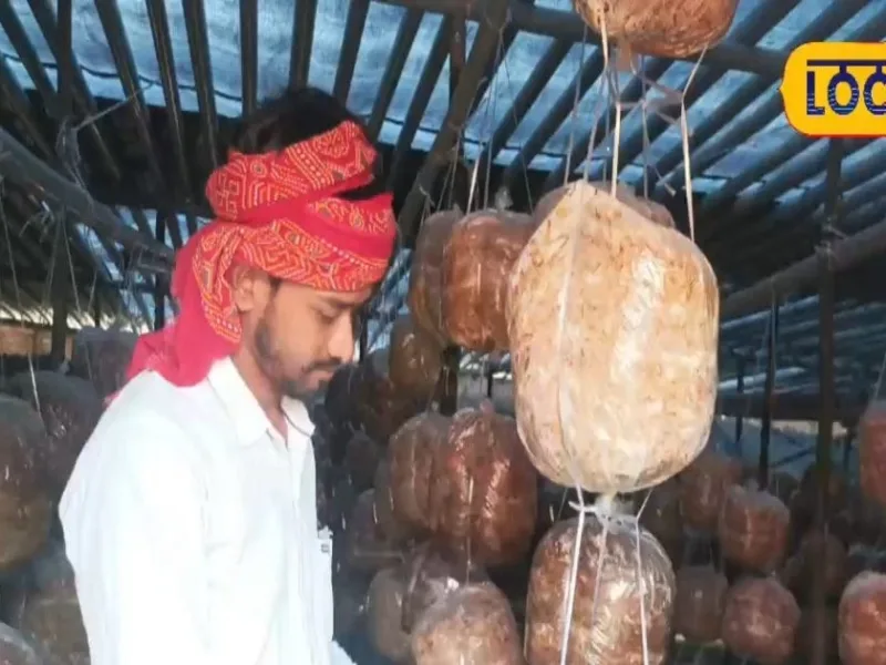 Mushroom Production in Purnia: Profitable Farming Practice with Low Cost, High Returns