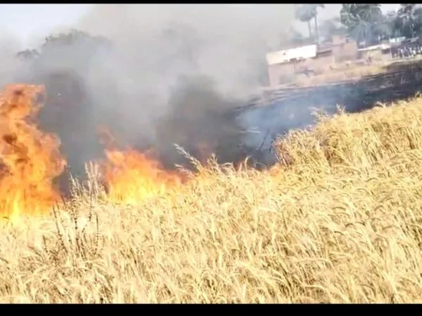 Fire in Wheat Crop in Seidabad, Jehanabad due to Short Circuit, 5-minute walk from Jehanabad.